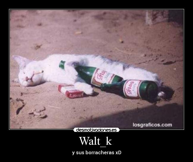 Walt_k -