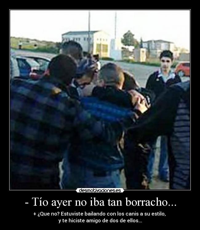 - Tío ayer no iba tan borracho... - + ¿Que no? Estuviste bailando con los canis a su estilo,
y te hiciste amigo de dos de ellos...