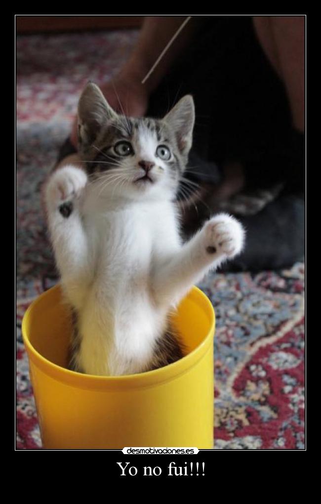 Yo no fui!!! -