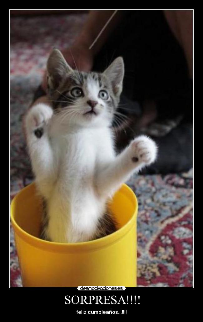 SORPRESA!!!! - feliz cumpleaños...!!!!