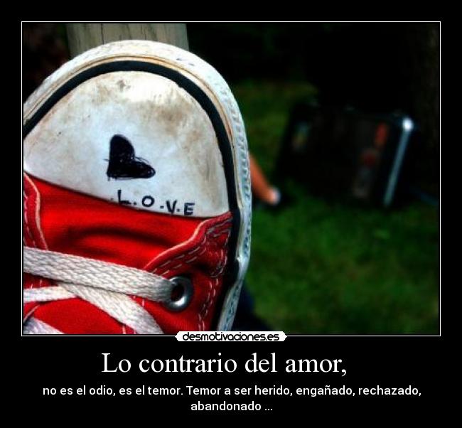 Lo contrario del amor, -