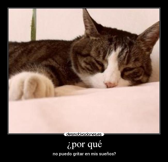 ¿por qué - 