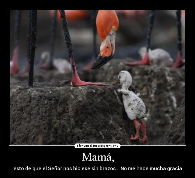 Mamá, - esto de que el Señor nos hiciese sin brazos... No me hace mucha gracia