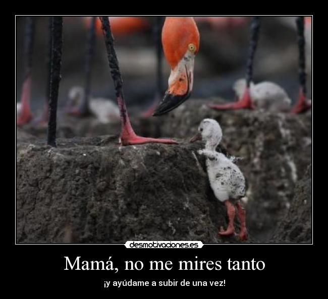 Mamá, no me mires tanto -