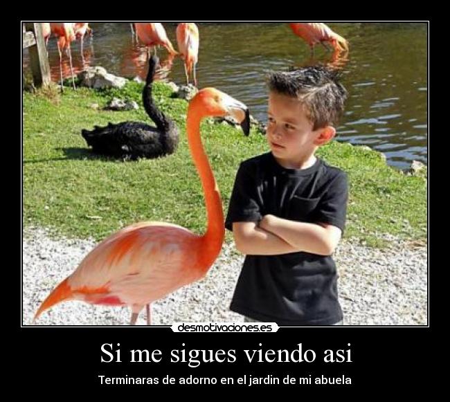 Si me sigues viendo asi -