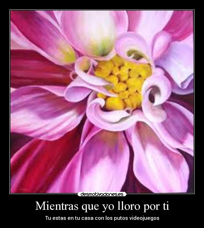 carteles videojuegos llorar amor morir sin casa desmotivaciones