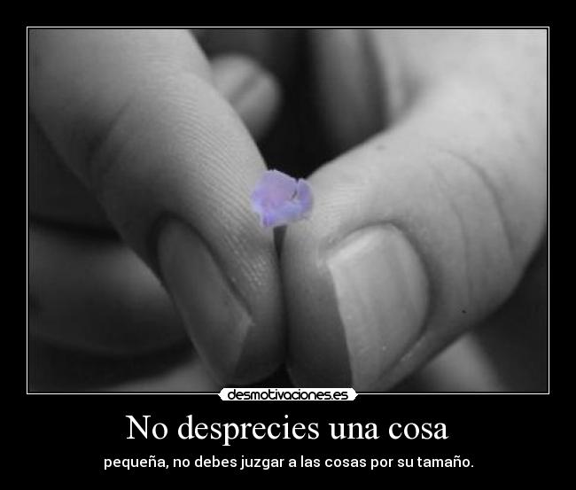 No desprecies una cosa - pequeña, no debes juzgar a las cosas por su tamaño.