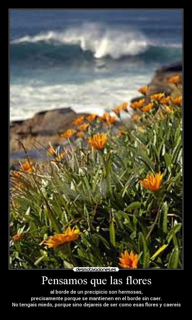 carteles desmotivaciones desmotivaciones