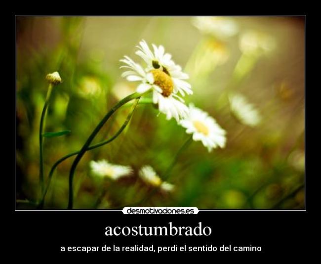 acostumbrado  - 