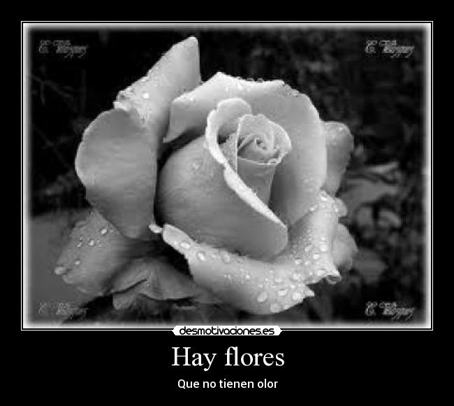 Hay flores -
