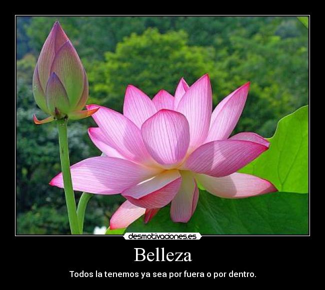 Belleza - Todos la tenemos ya sea por fuera o por dentro.