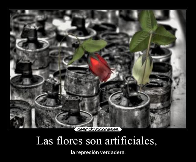 carteles flores bombas represion desmotivaciones
