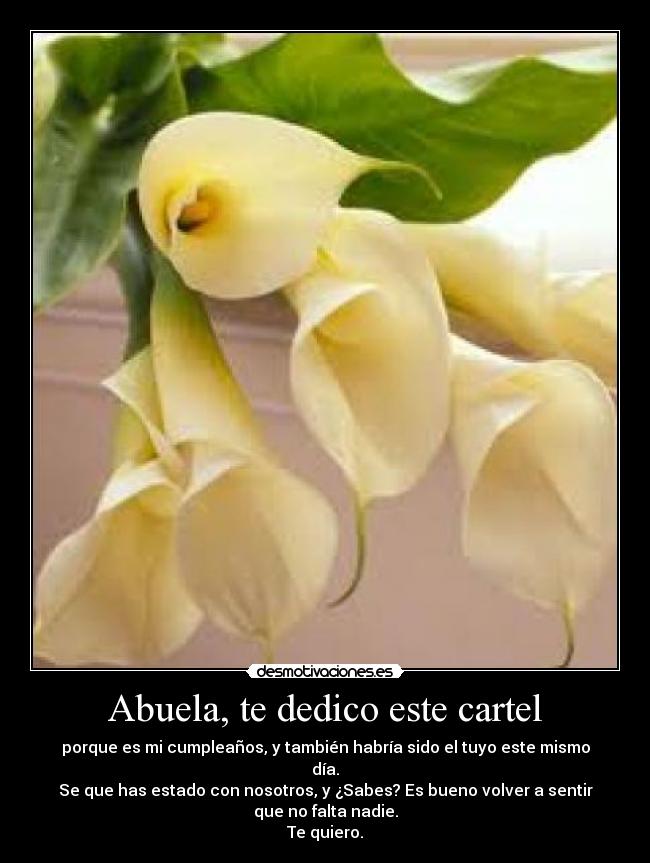 Abuela, te dedico este cartel - porque es mi cumpleaños, y también habría sido el tuyo este mismo
día.
Se que has estado con nosotros, y ¿Sabes? Es bueno volver a sentir
que no falta nadie.
Te quiero.
