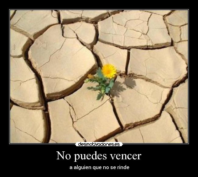 No puedes vencer - 