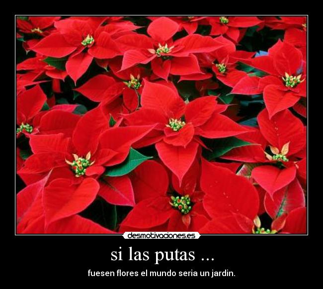 si las putas ... - 