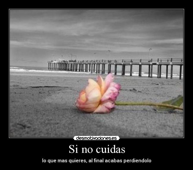 Si no cuidas - 