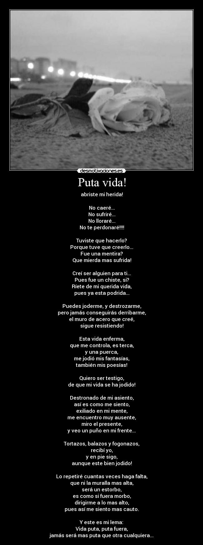Puta vida! - abriste mi herida!

No caeré...
No sufriré...
No lloraré...
No te perdonaré!!!!

Tuviste que hacerlo?
Porque tuve que creerlo...
Fue una mentira?
Que mierda mas sufrida!

Creí ser alguien para ti...
Pues fue un chiste, si?
Ríete de mi querida vida,
pues ya esta podrida...

Puedes joderme, y destrozarme,
pero jamás conseguirás derribarme,
el muro de acero que creé,
sigue resistiendo!

Esta vida enferma,
que me controla, es terca,
y una puerca,
me jodió mis fantasías,
también mis poesías!

Quiero ser testigo,
de que mi vida se ha jodido!

Destronado de mi asiento,
así es como me siento,
exiliado en mi mente,
me encuentro muy ausente,
miro el presente,
y veo un puño en mi frente...

Tortazos, balazos y fogonazos,
recibí yo,
y en pie sigo,
aunque este bien jodido!

Lo repetiré cuantas veces haga falta,
que ni la muralla mas alta,
será un estorbo,
es como si fuera morbo,
dirigirme a lo mas alto,
pues así me siento mas cauto.

Y este es mi lema:
Vida puta, puta fuera,
jamás será mas puta que otra cualquiera...