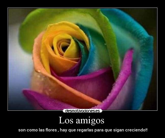 Los amigos  - 