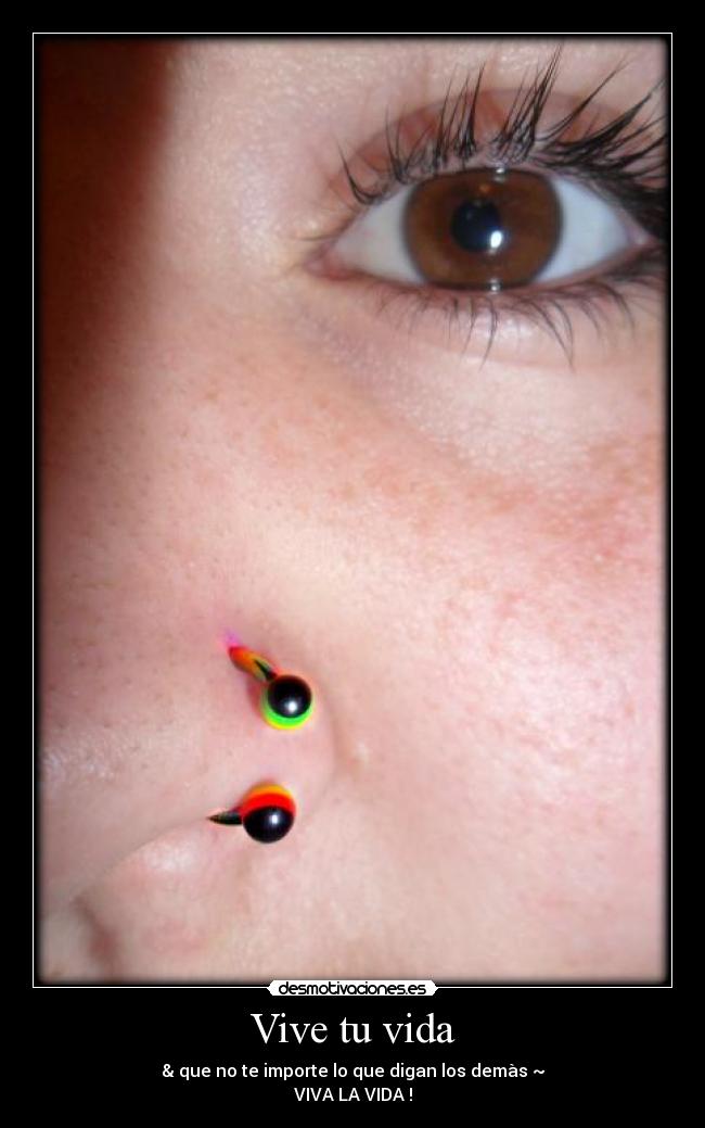 carteles vida viva vida desmotivaciones