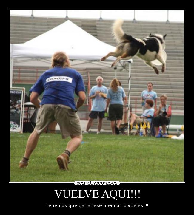 carteles perro que vuela desmotivaciones