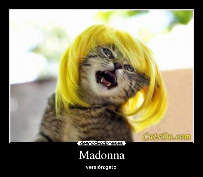 Madonna - versión:gato.