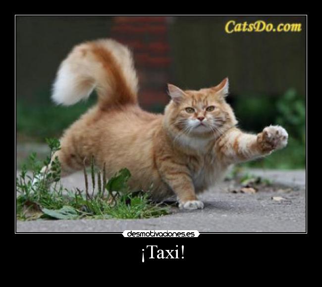 ¡Taxi! -