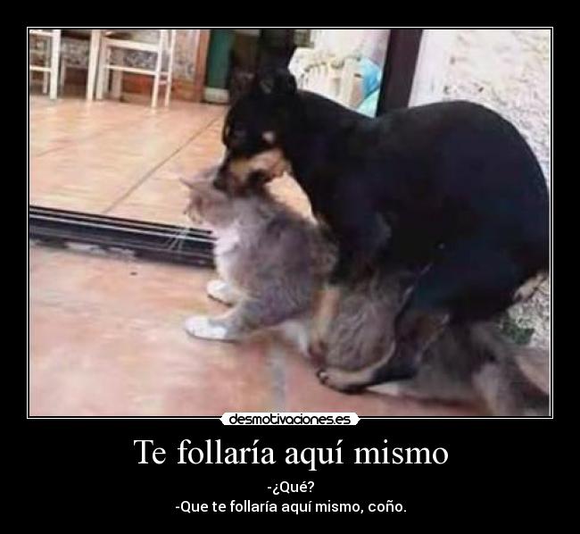 Te follaría aquí mismo - -¿Qué?
-Que te follaría aquí mismo, coño.