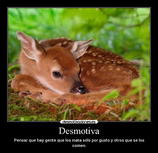 Desmotiva - Pensar que hay gente que los mata sólo por gusto y otros que se los comen.