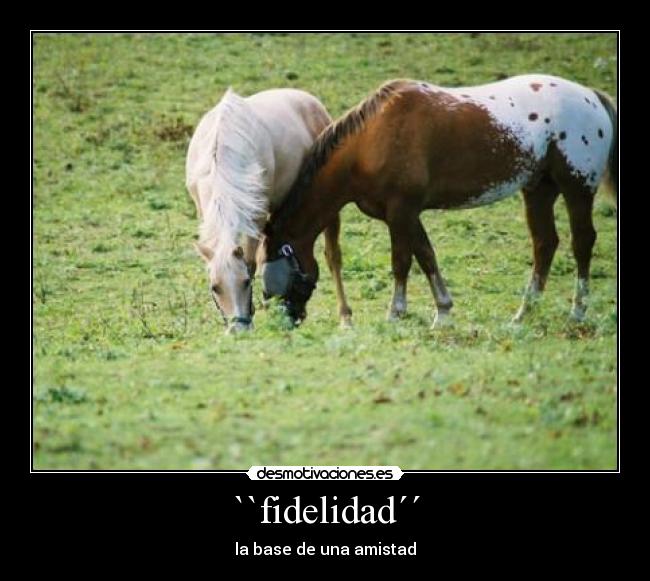 ``fidelidad´´ -