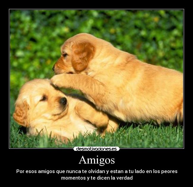 carteles amigos amistad desmotivaciones