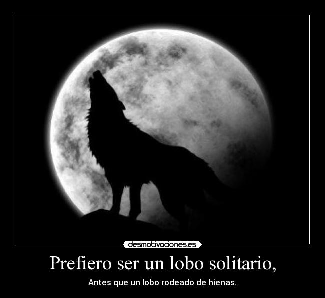 Prefiero ser un lobo solitario, - Antes que un lobo rodeado de hienas.