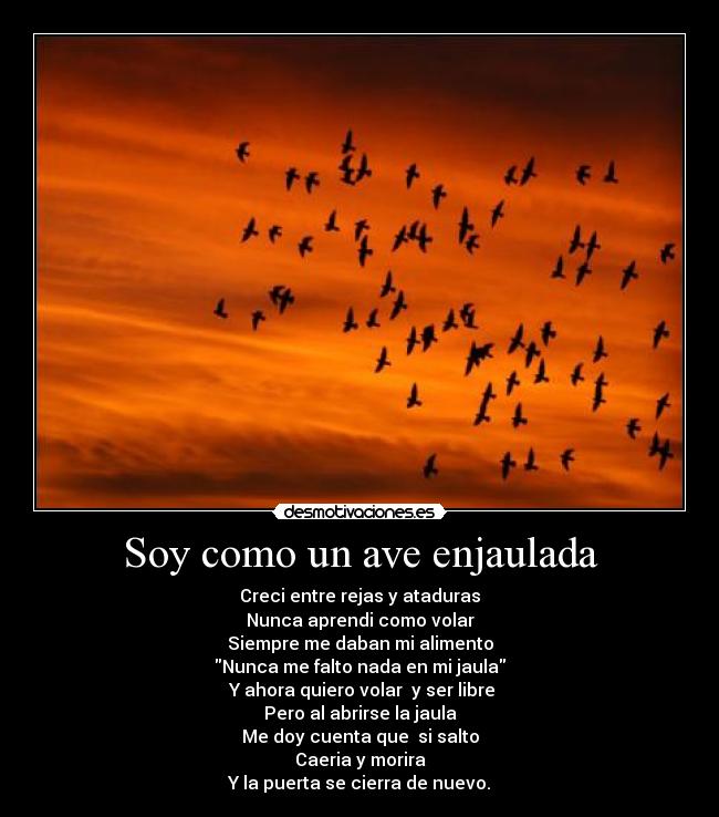 Soy como un ave enjaulada - Creci entre rejas y ataduras
Nunca aprendi como volar
Siempre me daban mi alimento
Nunca me falto nada en mi jaula
 Y ahora quiero volar  y ser libre
Pero al abrirse la jaula
Me doy cuenta que  si salto
Caeria y morira
Y la puerta se cierra de nuevo.