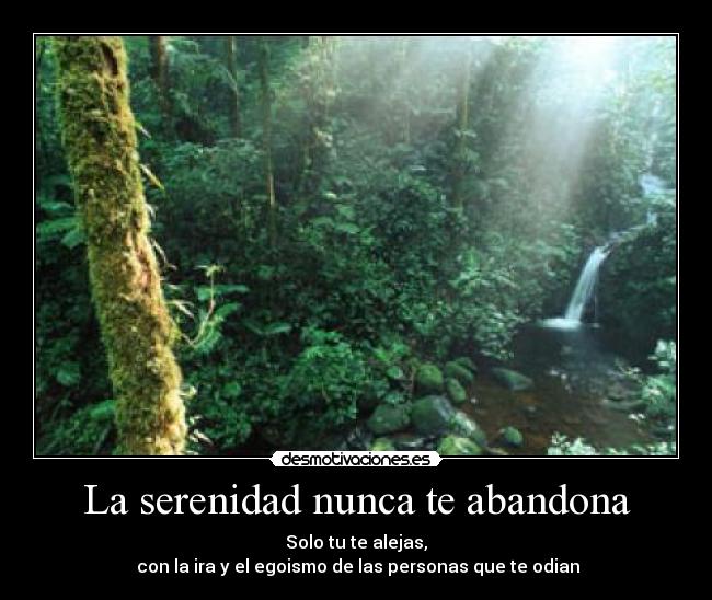 La serenidad nunca te abandona -