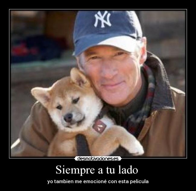 Siempre a tu lado - yo tambien me emocioné con esta pelicula