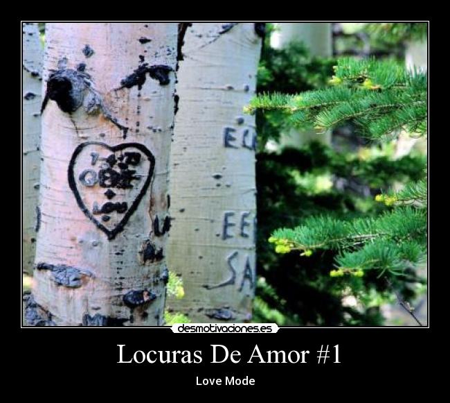 Locuras De Amor #1 -