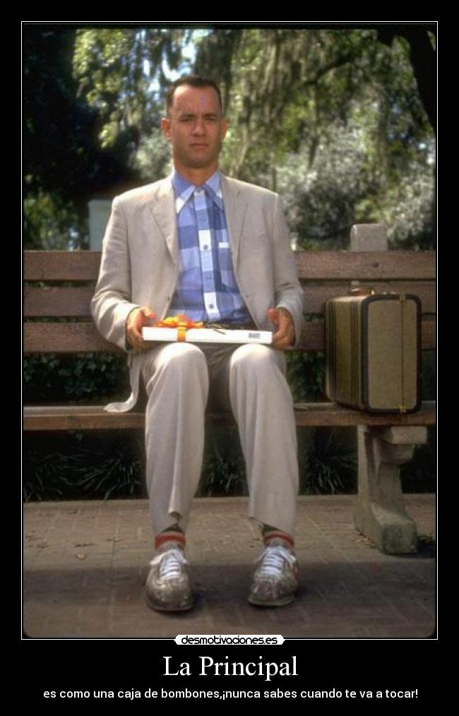 carteles principal caja bombones tocar forrest gump desmotivaciones