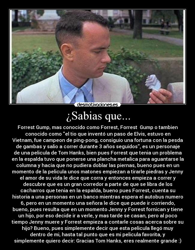 ¿Sabias que... - Forrest Gump, mas conocido como Forrest, Forrest Gump o tambien
conocido como el tio que inventó un paso de Elvis, estuvo en
Vietnam, fue campeon de ping-pong, consiguio una fortuna con la pesda
de gambas y salio a correr durante 3 años seguidos, es un personaje
de una pelicula de Tom Hanks, bien pues Forrest que tenia un problema
en la espalda tuvo que ponerse una plancha metalica para aguantarse la
columna y hacia que no pudiera doblar las piernas, bueno pues en un
momento de la pelicula unos matones empiezan a tirarle piedras y Jenny
el amor de su vida le dice que corra y entonces empieza a correr y
descubre que es un gran corredor a parte de que se libra de los
cacharros que tenia en la espalda, bueno pues Forrest, cuenta su
historia a una personas en un banco mientras espera el autobus numero
6, pero en un momento una señora le dice que puede ir corriendo,
bueno, pues resulta que en un momento Jenny y Forrest fornican y tiene
un hijo, por eso decide ir a verle, y mas tarde se casan, pero al poco
tiempo Jenny muere y Forrest empieza a contarle cosas acerca sobre su
hijo? Bueno, pues simplemente decir que esta pelicula llegó muy
dentro de mi, hasta tal punto que es mi pelicula favorita, y
simplemente quiero decir: Gracias Tom Hanks, eres realmente grande :)