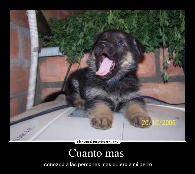 carteles carlos90 desmotivaciones