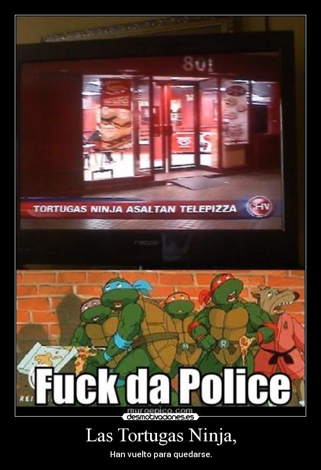 Las Tortugas Ninja, -
