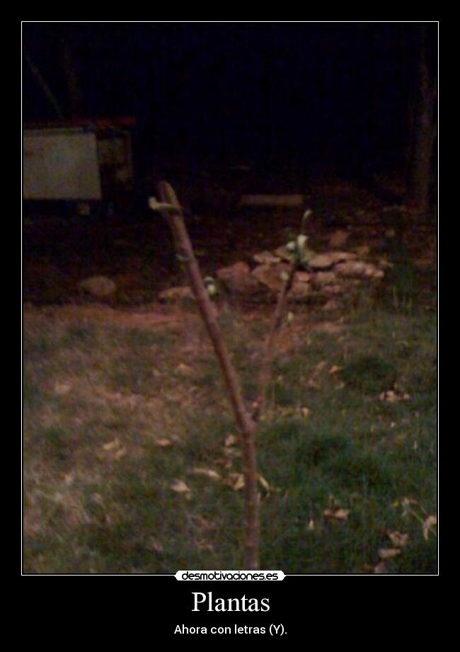 carteles plantas desmotivaciones