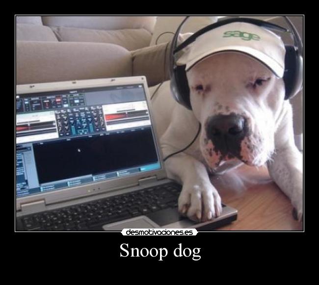 Snoop dog - 