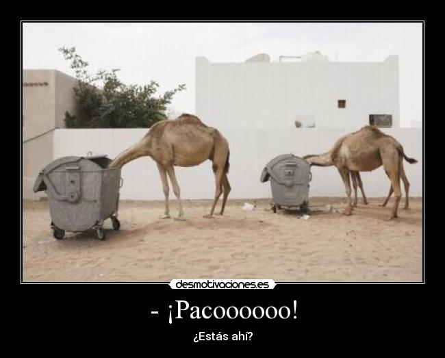 - ¡Pacoooooo! -