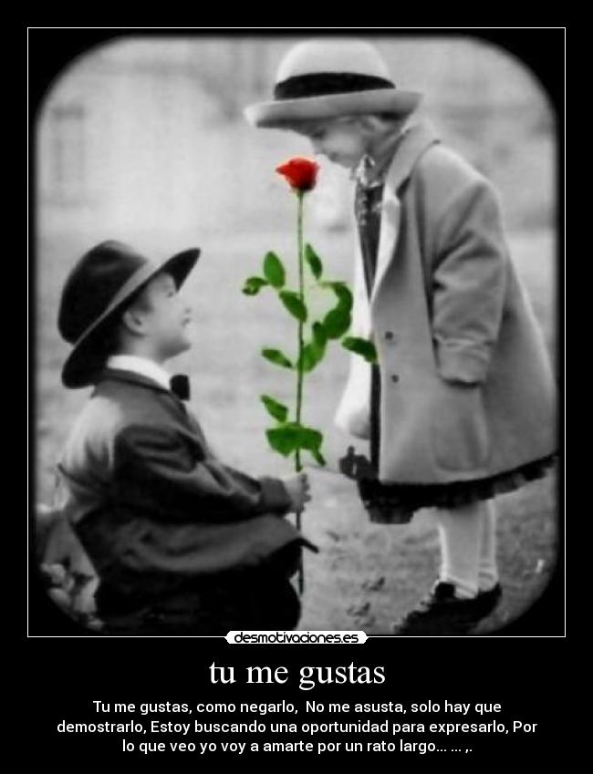 tu me gustas - 