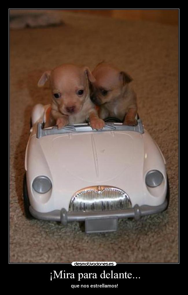 ¡Mira para delante... - que nos estrellamos!