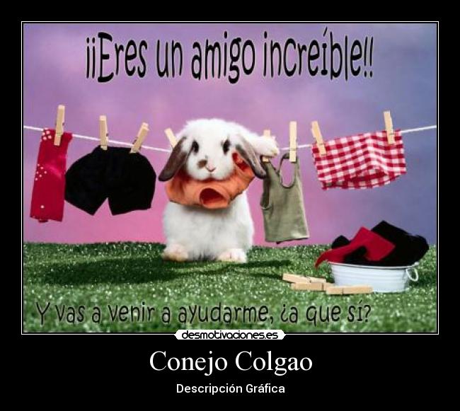 Conejo Colgao -