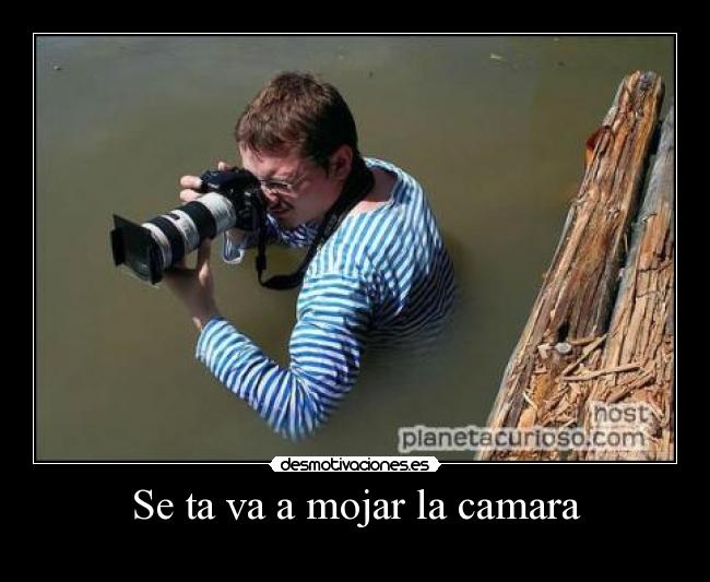 carteles desmotivaciones