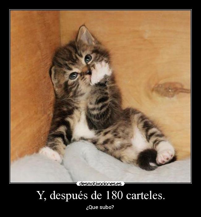 Y, después de 180 carteles. - ¿Que subo?