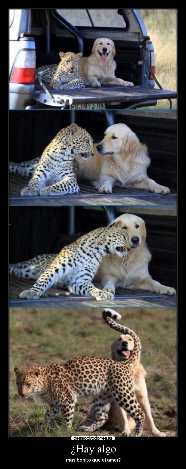 carteles juli-nero7 desmotivaciones