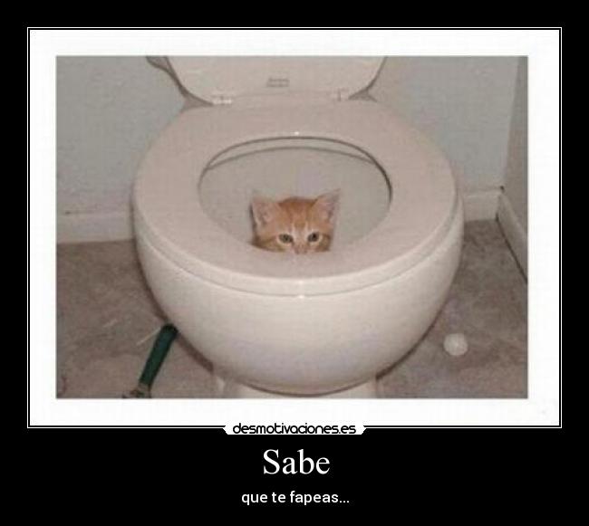 Sabe - 