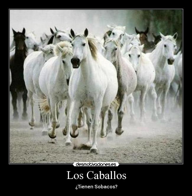 Los Caballos -
